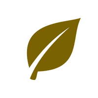 Sustainable Solutions